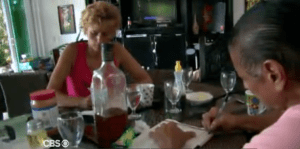 Survivor Dan Journal