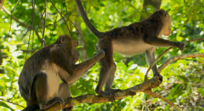 Michael and BMX Bike Sales Matt Strategizing 