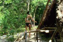 Survivor Brenda Run